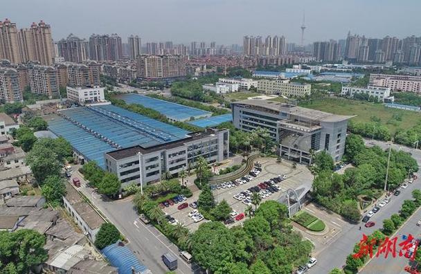 湖南日报全媒体记者 童迪 摄)曹广如回到株洲,没想到一年后,工厂产品